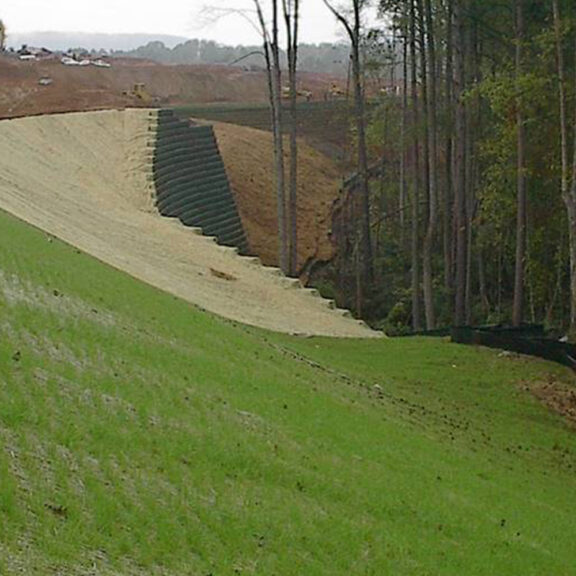 Slope stabilization with uniaxial geogrid that support robust vegetation