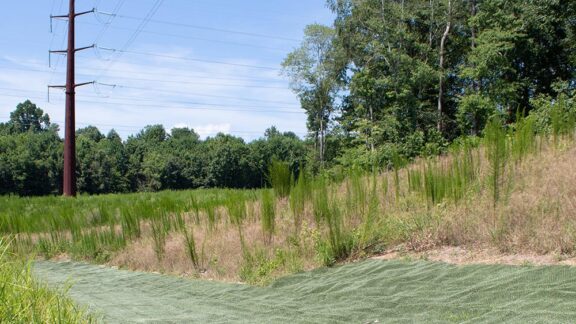 Permanent erosion control for hurricane-prone areas