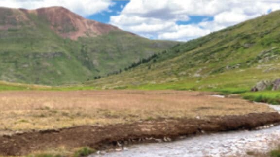 Silverton, Colorado in the San Juan Mountains nicely vegetated after using biotic soil amendments