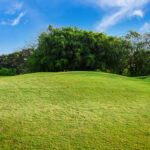 A freshly vegetated hillside after using Jumpstart nutrients from Ferguson Waterworks