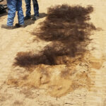 Subsurface installation of Netlon in sand to stabilize turf