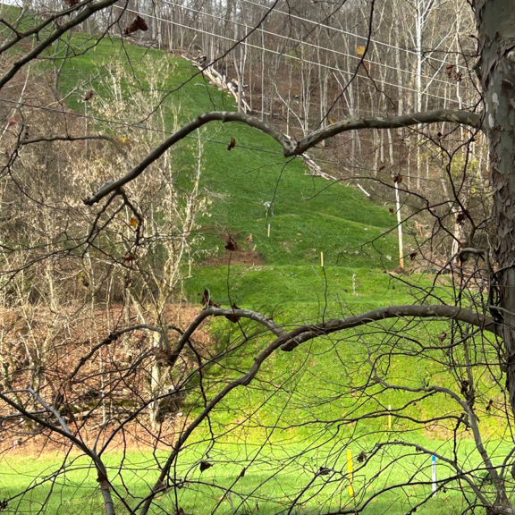 Lush results in three weeks after helicopter hydroseeding a steep slope.